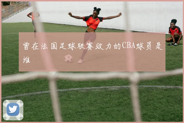 曾在法国足球联赛效力的CBA球员是谁