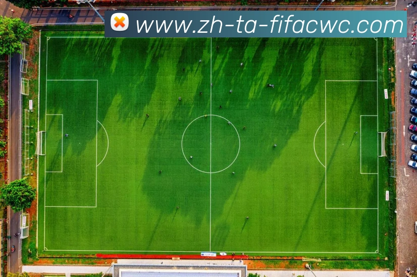 世界杯在线观看品牌故事